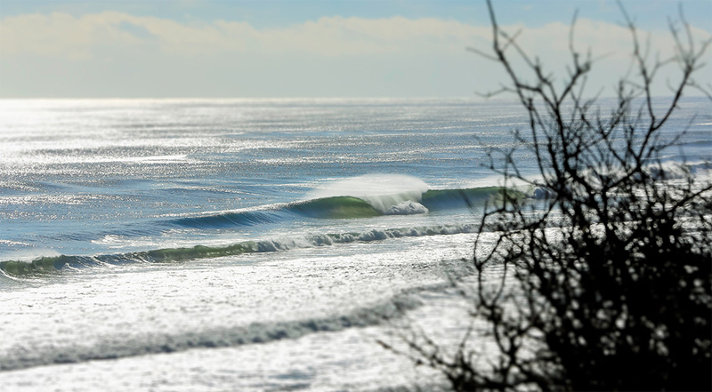 SurfLine